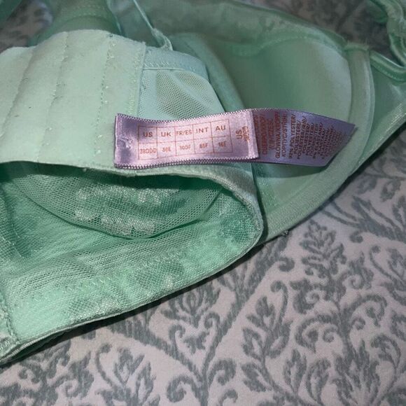 Savage X Fenty Straight up Lace Plunge Bra mint hint green size 38DDD - Picture 5 of 6